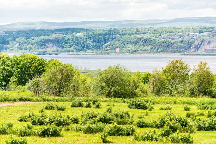 Québec City: Guided Sightseeing River Cruise - What the onboard bar and bistro add