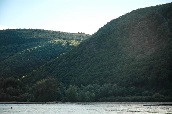 Rhine Valley Trip from Frankfurt including Rhine River Cruise - Wine tasting and the limits of the experience