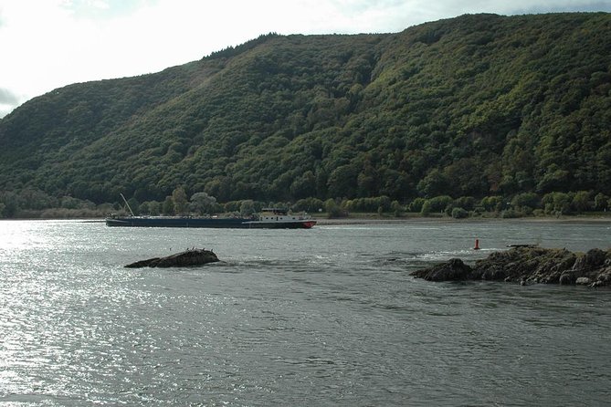 Rhine Valley Trip from Frankfurt including Rhine River Cruise - Guides make a real difference