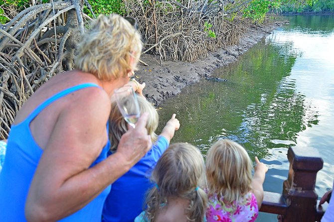 River Cruise - Stories from the skipper, with a dry sense of humor
