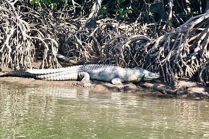 River Cruise - Why families tend to enjoy this cruise