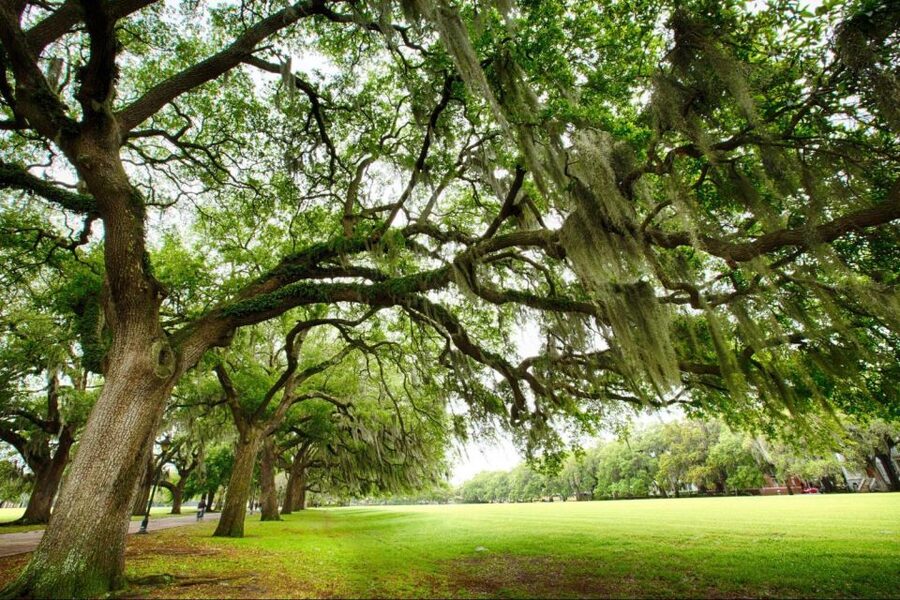 Savannah: Riverboat Cruise & City Tour Combo - Picking the best place on the riverboat