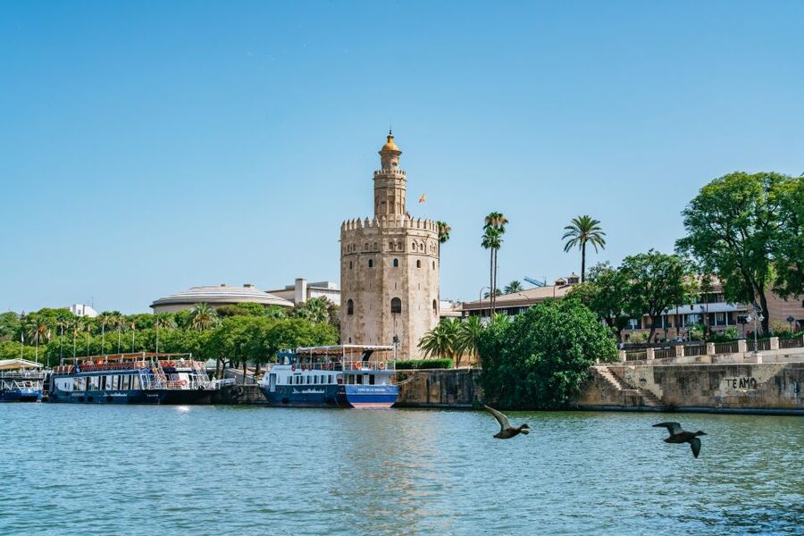 Seville: 1-Hour Guadalquivir River Sightseeing Eco Cruise - Old towers beside newer Seville