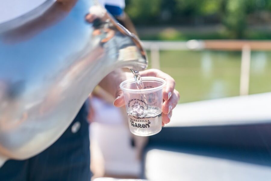 Seville: Guadalquivir Boat Tour with Optional Lunch/Dinner - Who should book this river cruise