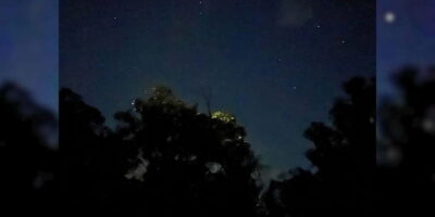 Shared Firefly Watching Cruise on Bohol’s Scenic Loboc River