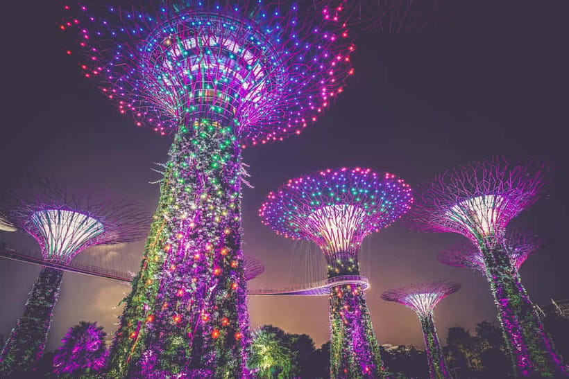 Singapore River Cruise, Garden Rhapsody & Spectra by CYT - Who should book this Singapore night tour?
