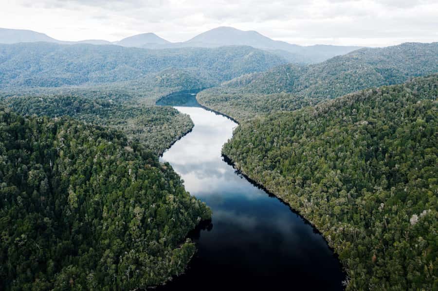 Strahan: World Heritage Cruise on Gordon River with Lunch - Lunch made with Tasmanian produce
