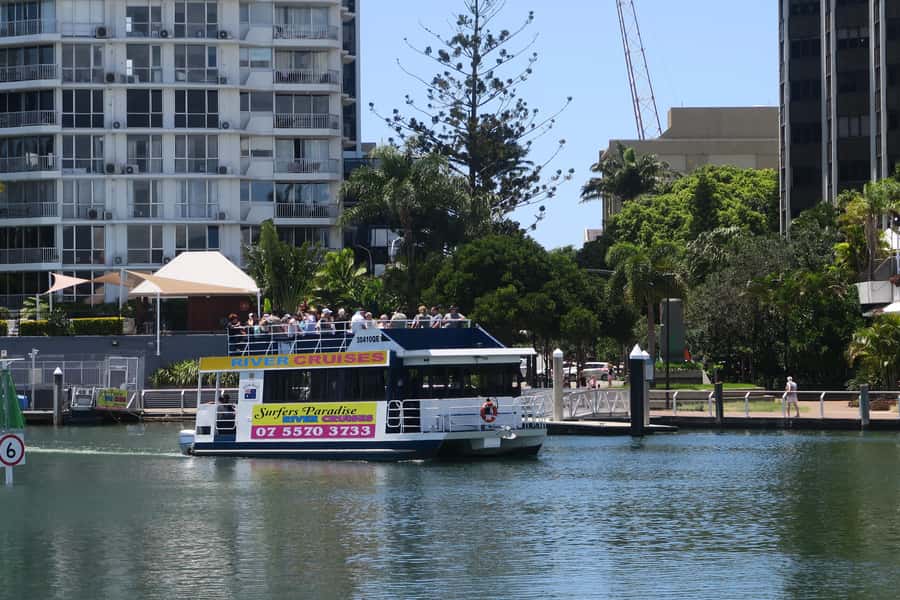 Surfers Paradise: Sightseeing Midday River and Canal Cruise - Dolphins, birds, and the limits of wildlife viewing