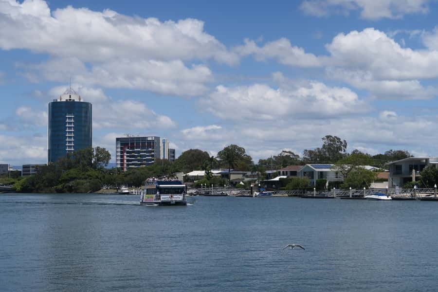 Surfers Paradise: Sightseeing Morning River and Canal Cruise - Dolphins and wildlife: keep expectations realistic