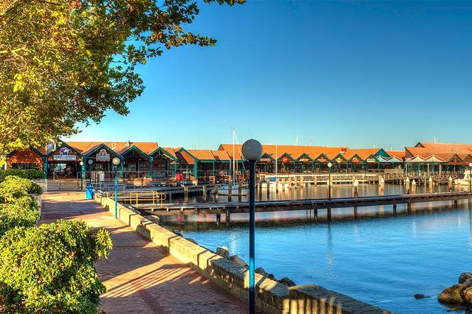 Swan River Scenic Cruise - Food, drinks, and the practical cost