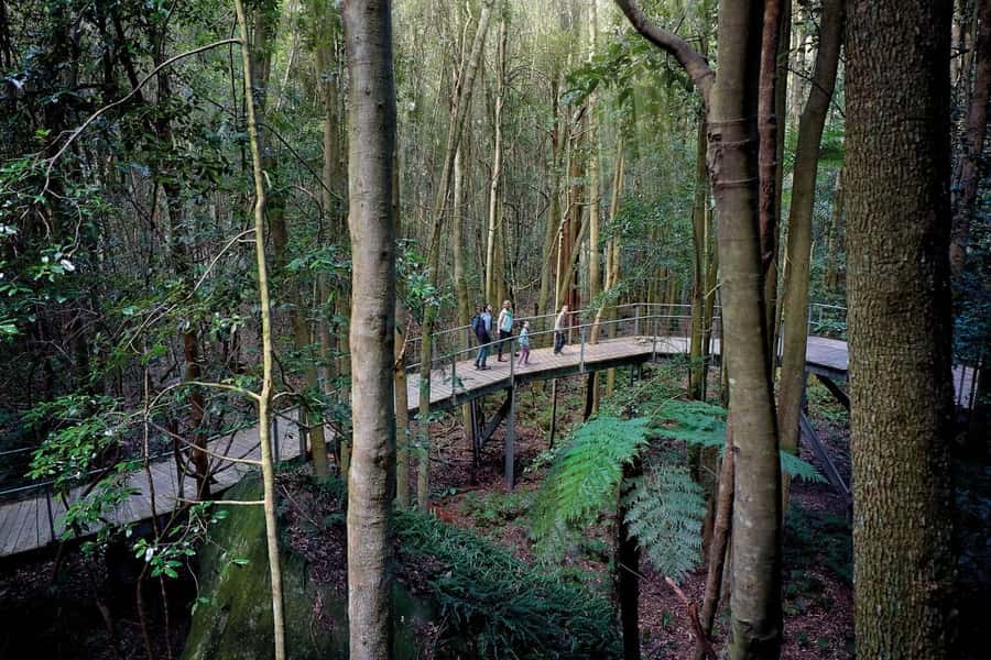 Sydney: Blue Mountains National Park Tour with River Cruise - Lookouts away from the main coach crowds