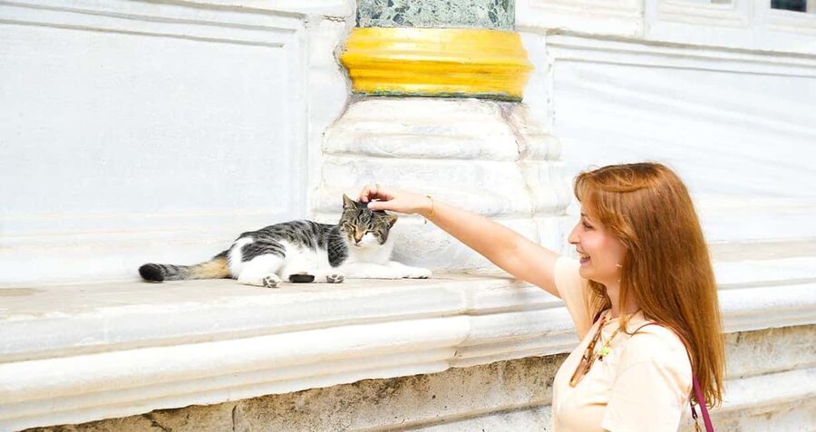 Topkapi Palace & Harem Tour + Bosphorus & Golden Horn Cruise - Why the guide matters, and where the tour falls short