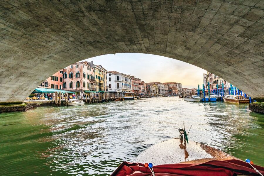 Venice: Grand Canal Boat Tour - The Grand Canal’s palazzos and public buildings