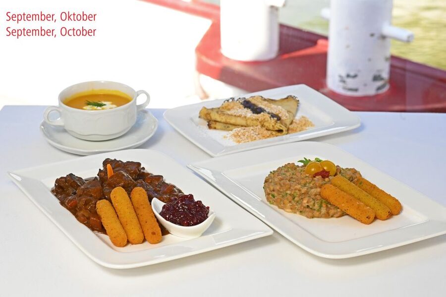 Vienna: Danube River Cruise w/ optional Viennese Specialties - Why this cruise shows a different Vienna
