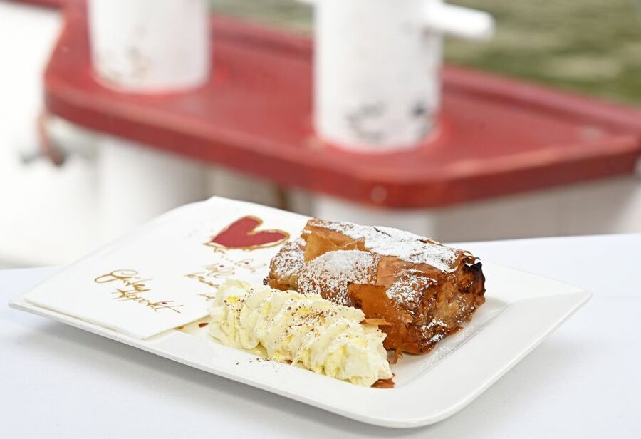 Vienna: Danube River Cruise w/ optional Viennese Specialties - From the Danube plateau to the Nussdorf locks