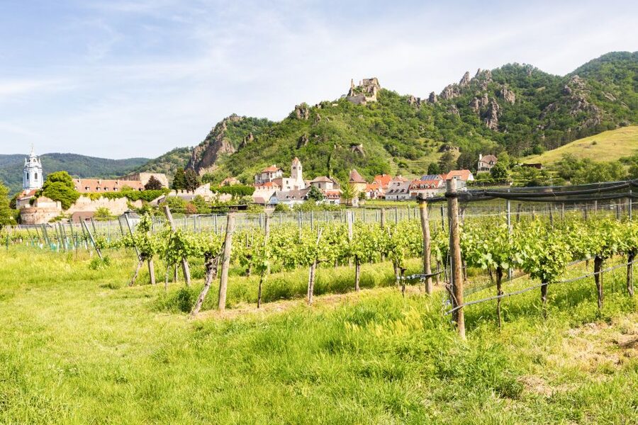 Vienna: Wachau Valley, Melk Abbey Tour with Danube Boat Trip - Melk, lunch, and the abbey above the river