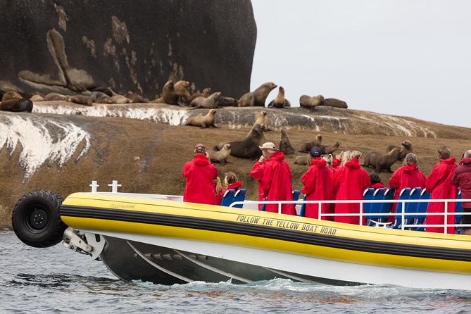 Wilsons Promontory Wilderness Cruise from Tidal River - What the Ride Feels Like in Real Weather