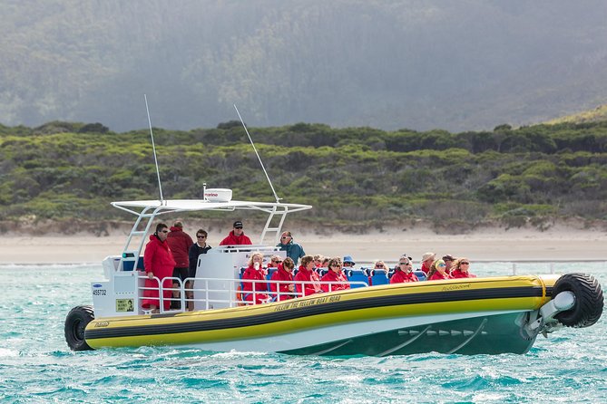 Wilsons Promontory Wilderness Cruise from Tidal River - Is $118.35 a Fair Price?