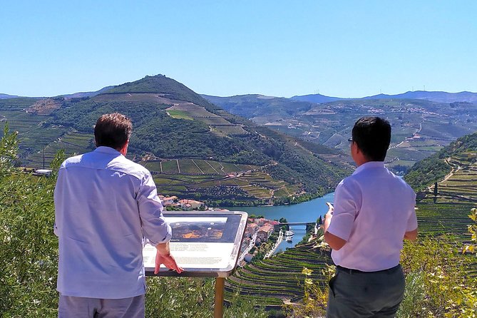 Wine Venture and Boat Trip in Douro Valley from Porto - The small group and guide make a difference