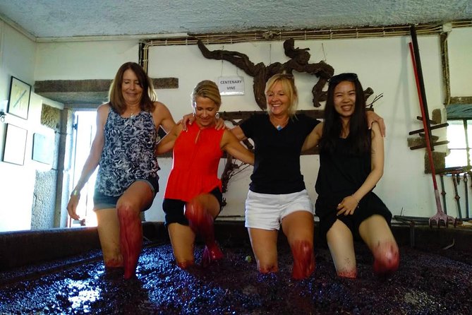 Wine Venture and Boat Trip in Douro Valley from Porto - Timing, weather, and practical limits